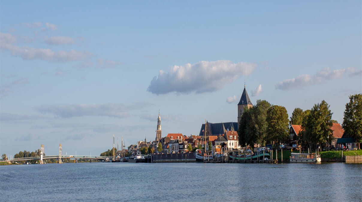 muizenbestrijding kampen