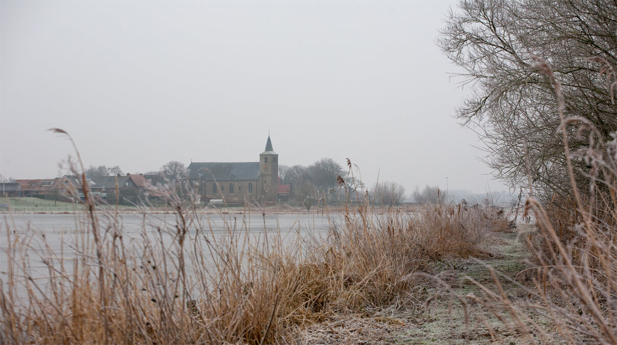 muizenbestrijding wilsum